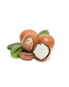 Shea Butter Άρωμα Καριτέ